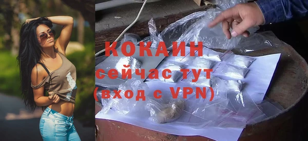 mdpv Богородицк