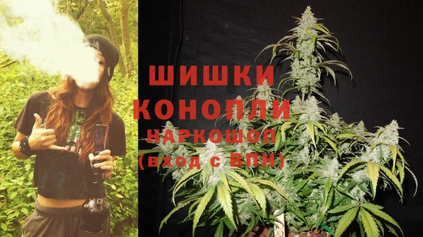 МДПВ Богородск