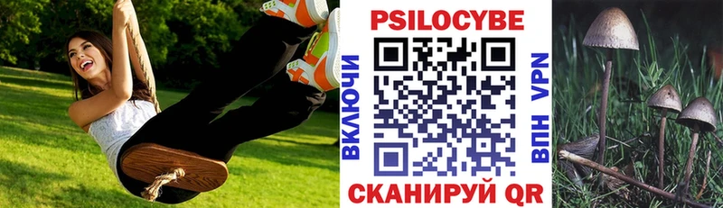 Купить  Дюртюли  Псилоцибиновые грибы ЛСД 